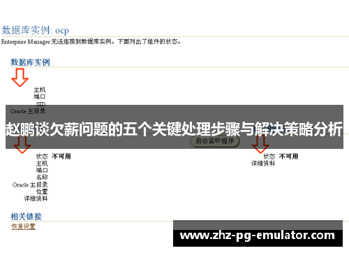 赵鹏谈欠薪问题的五个关键处理步骤与解决策略分析 赵鹏谈欠薪问题的五个关键处理步骤与解决策略分析