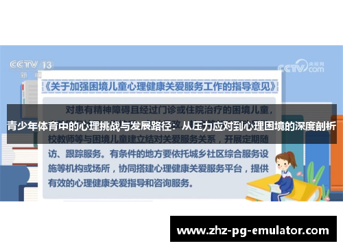 青少年体育中的心理挑战与发展路径：从压力应对到心理困境的深度剖析